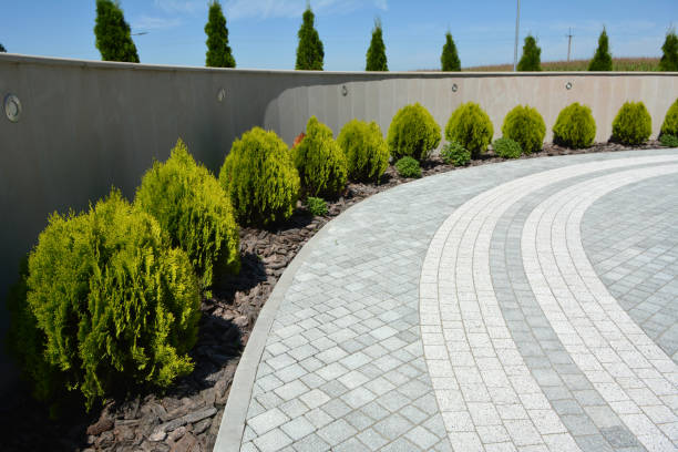 Reasons to Select Us for Your Driveway Paving Requirements in Plainfield, IN